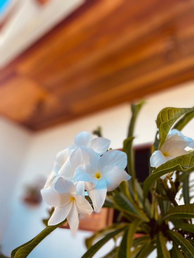 Beach Eco Stays Hotel Boutique Lagoinha Paraipaba Eksteriør bilde